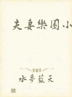 夫妻乐园小说