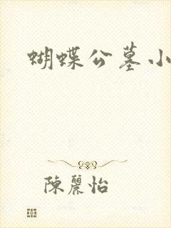 蝴蝶公墓小说封面