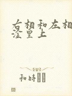 右相和左相一起淦皇上