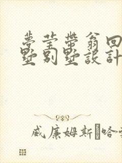 梦莹带翁回乡别墅别墅设计
