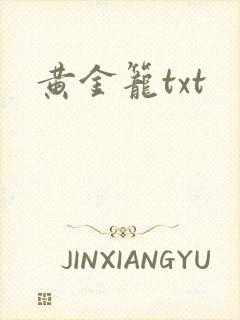 黄金笼txt封面
