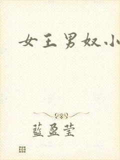 女王男奴小说