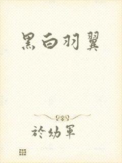 黑白羽翼