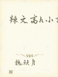 辣文高h小说