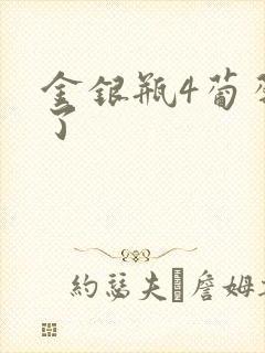 金银瓶4葡萄熟了封面