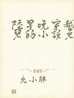 陆星晚穿越成婴儿的小说免费阅读全文封面