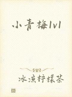 小青梅1v1