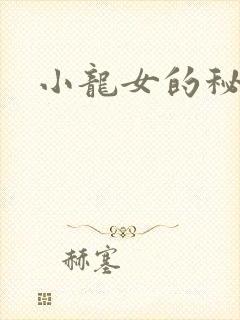 小龙女的秘密封面