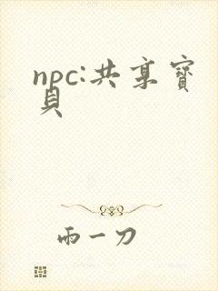 npc:共享宝贝