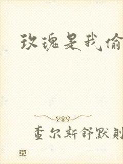 玫瑰是我偷的