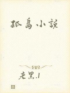 孤岛小说