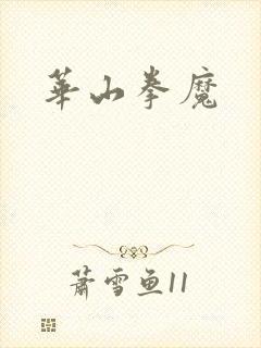 华山拳魔