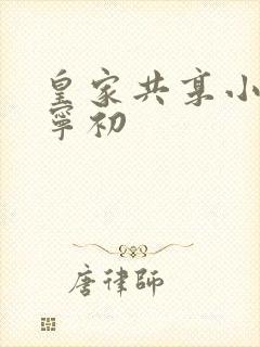 皇家共享小公主宁初