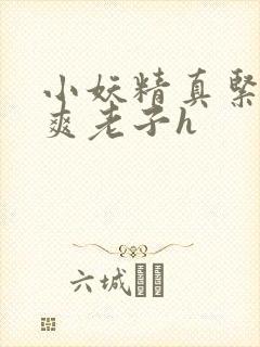 小妖精真紧h嘶爽老子h封面