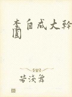 李自成大干陈圆圆封面