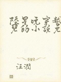陆星晚穿越成婴儿的小说免费阅读全文
