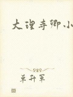 大理寺卿小说
