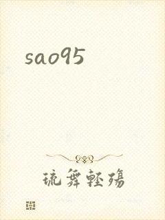 sao95封面