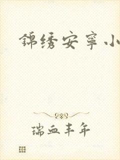 锦绣安宁小说
