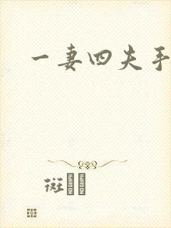 一妻四夫手记