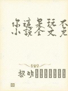 你这是玩不起呀小说全文免费阅读封面