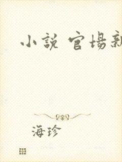 小说 官场新贵封面