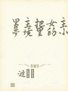 男主把女主拖进梦境里的小说