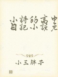 小诗的高中成长日记小说免费阅读