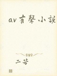 av有声小说