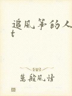 追风筝的人txt