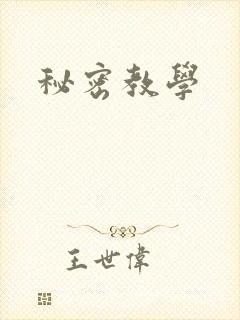 秘密教学