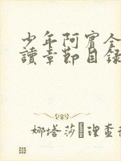 少年阿宾全文阅读章节目录