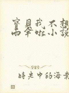 宝贝我不想带小雨伞啦小说