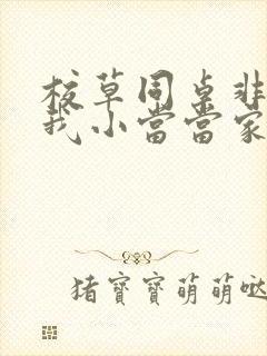 校草同桌非要撩我小当当家