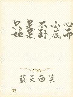 只是不小心发现她是卧底而已