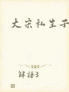 大宋私生子封面