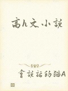 高h文小说