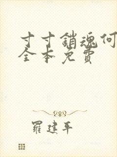 寸寸销魂何生祥全本免费
