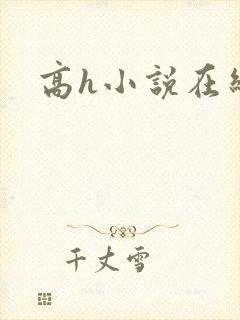高h小说在线看封面