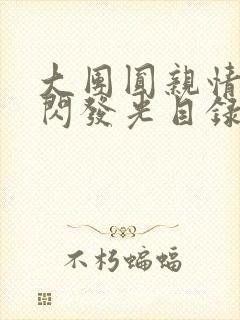 大团圆亲情会闪闪发光目录封面