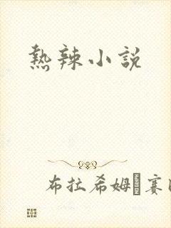 热辣小说