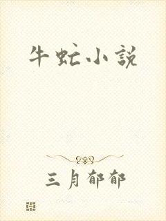 牛虻小说