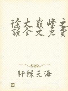 徐大巅峰之路小说全文免费阅读封面