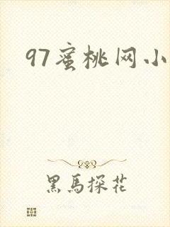97蜜桃网小说