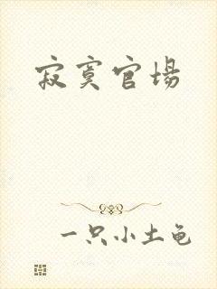 寂寞官场