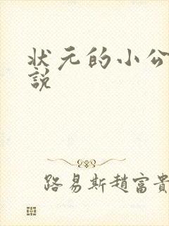 状元的小公主小说