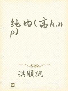 纯肉(高h.np)