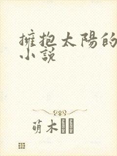 拥抱太阳的月亮小说