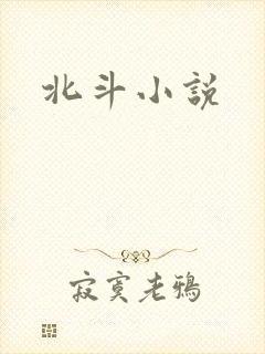 北斗小说