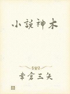 小说神木